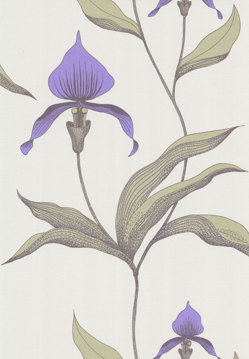 Shop 66/4024 Cs Orchid White M By Cole and Son Wallpaper