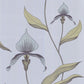 Select 66/4026 Cs Orchid Blue Gr By Cole and Son Wallpaper