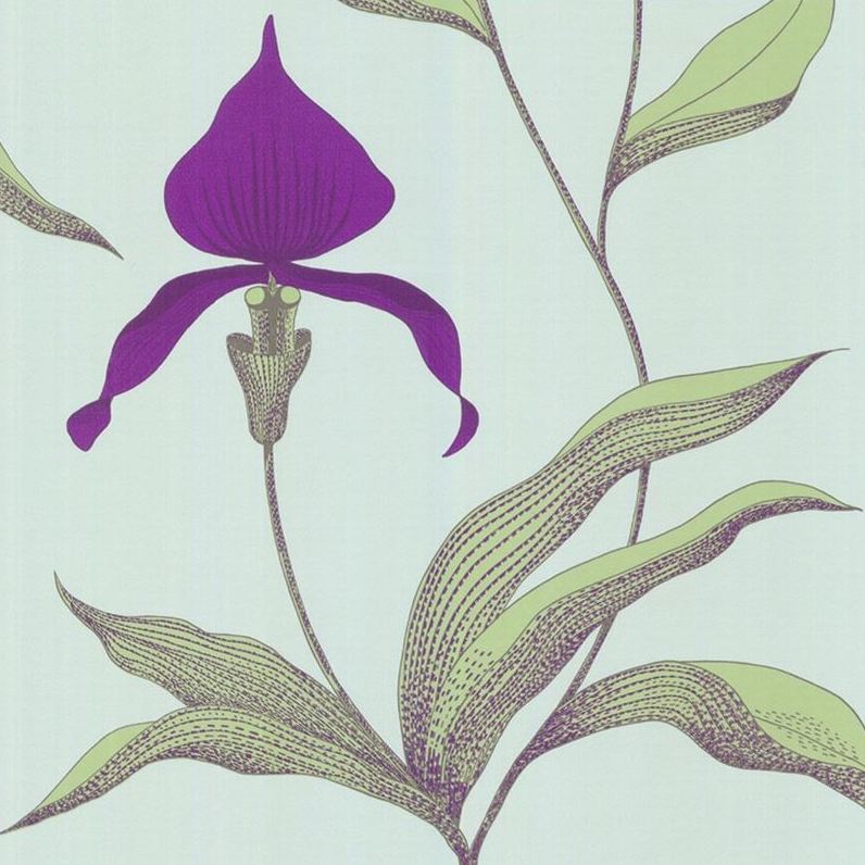 Purchase 66/4027 Cs Orchid Turquoi By Cole and Son Wallpaper