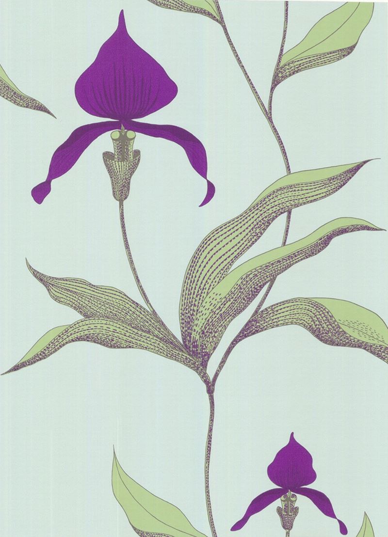 View 66/4027 Cs Orchid Turquoi By Cole and Son Wallpaper