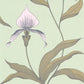 Find 66/4028 Cs Orchid Pale Gr By Cole and Son Wallpaper