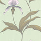 Looking for 66/4028 Cs Orchid Pale Gr By Cole and Son Wallpaper