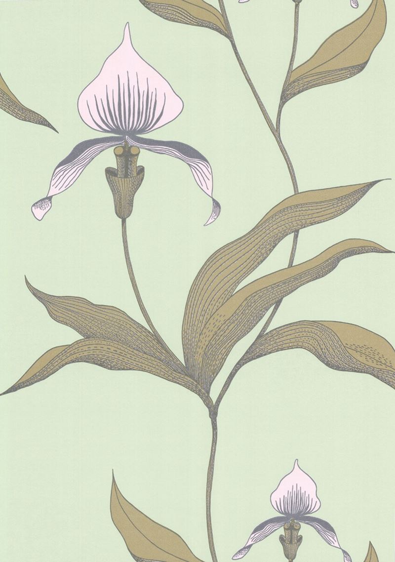 Looking for 66/4028 Cs Orchid Pale Gr By Cole and Son Wallpaper