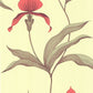 Save on 66/4033 Cs Orchid Lime Or By Cole and Son Wallpaper