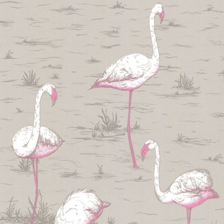 Buy 66/6042 Cs Flamingos Grey By Cole and Son Wallpaper