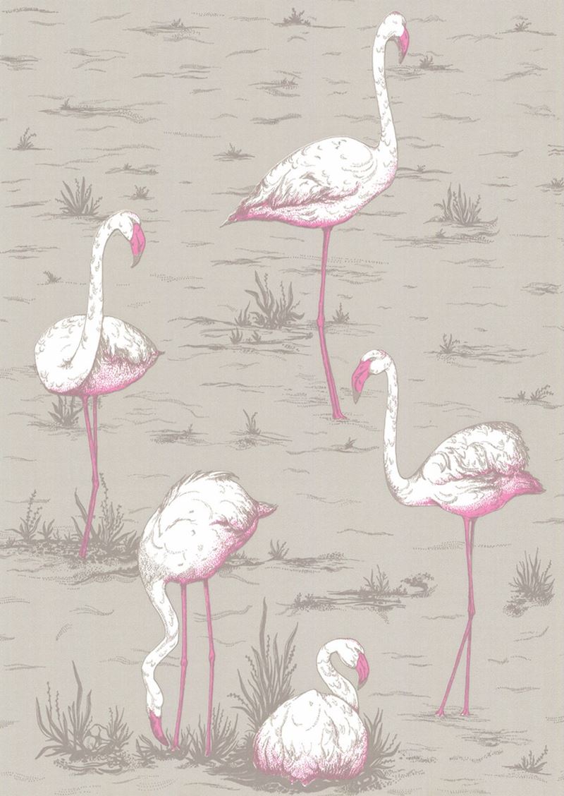 Purchase 66/6042 Cs Flamingos Grey By Cole and Son Wallpaper