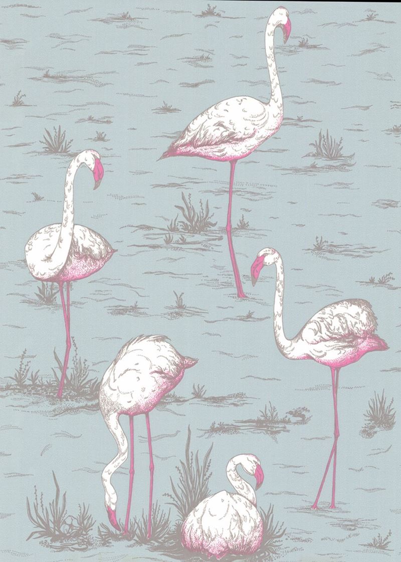 Find 66/6044 Cs Flamingos Oale Bl By Cole and Son Wallpaper