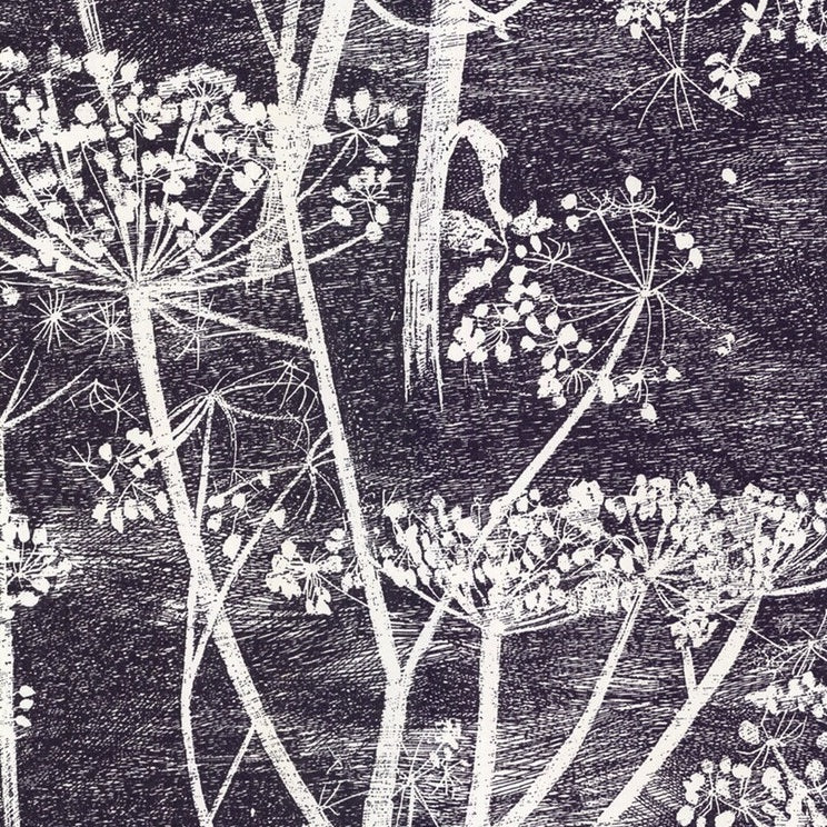 Looking for 66/7046 Cs Cow Parsley White Blk By Cole and Son Wallpaper