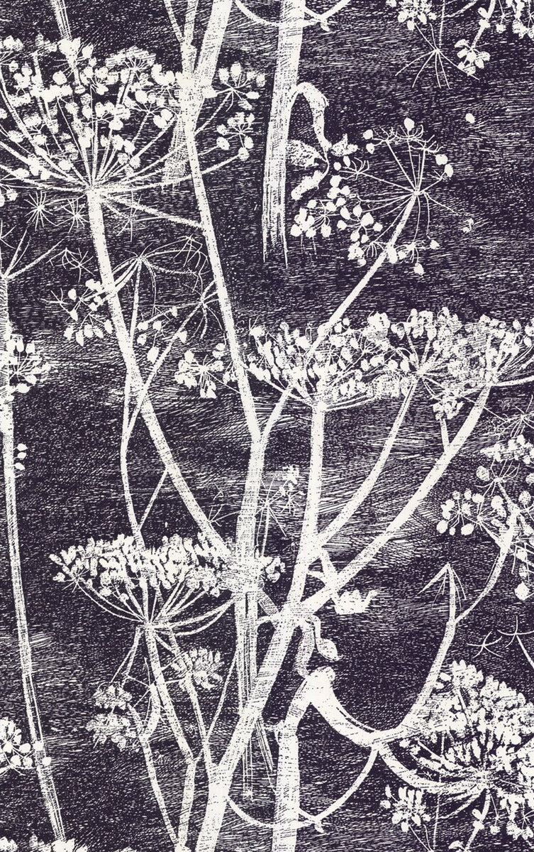 Order 66/7046 Cs Cow Parsley White Blk By Cole and Son Wallpaper