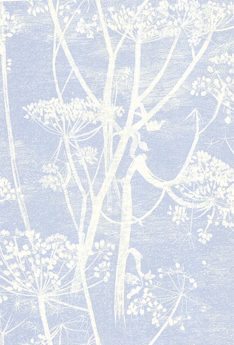 Buy 66/7050 Cs Cow Parsley White Blu By Cole and Son Wallpaper