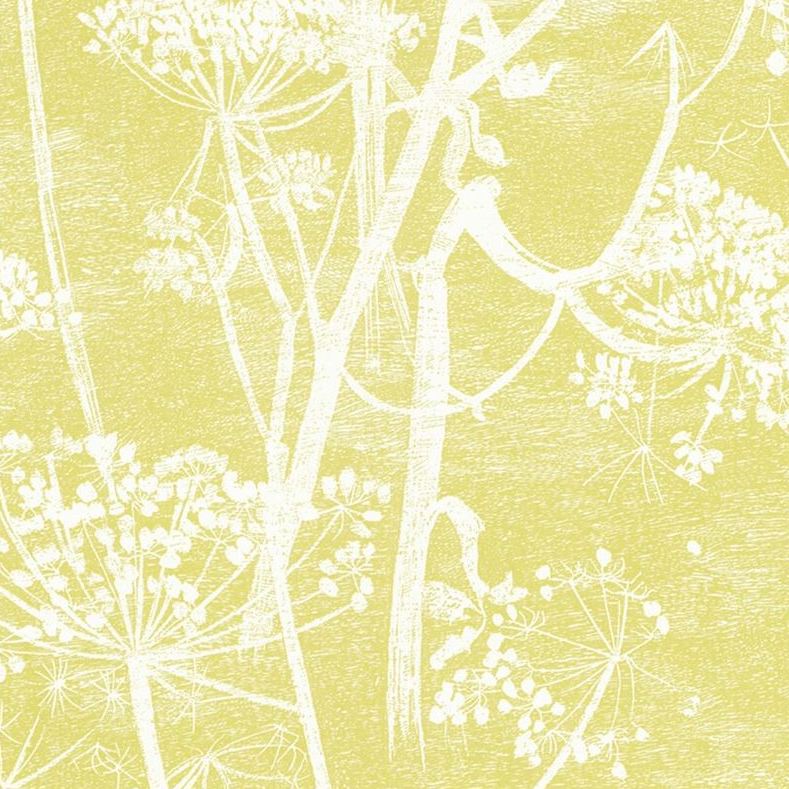 Shop 66/7051 Cs Cow Parsley White Y By Cole and Son Wallpaper