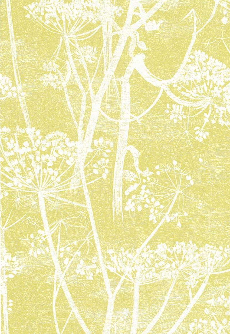 Select 66/7051 Cs Cow Parsley White Y By Cole and Son Wallpaper