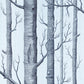 Shop 69/12150 Cs Woods Choc Silver By Cole and Son Wallpaper