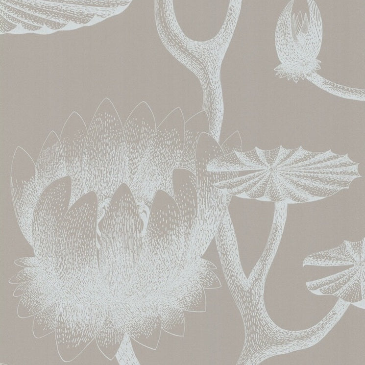 Order 69/3110 Cs Lily White Grey By Cole and Son Wallpaper