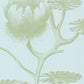 Search 69/3112 Cs Lily Sage Pale Blue By Cole and Son Wallpaper