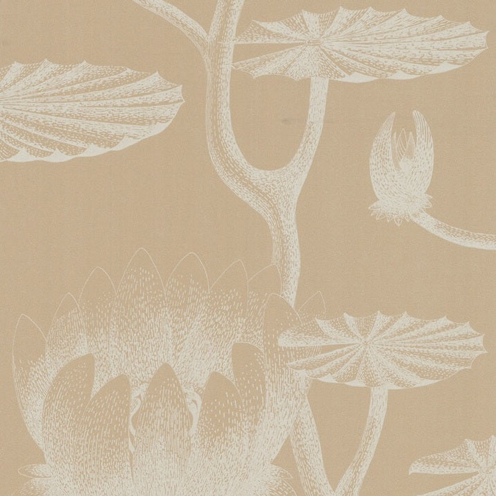 Shop 69/3113 Cs Lily Ivory Sand By Cole and Son Wallpaper