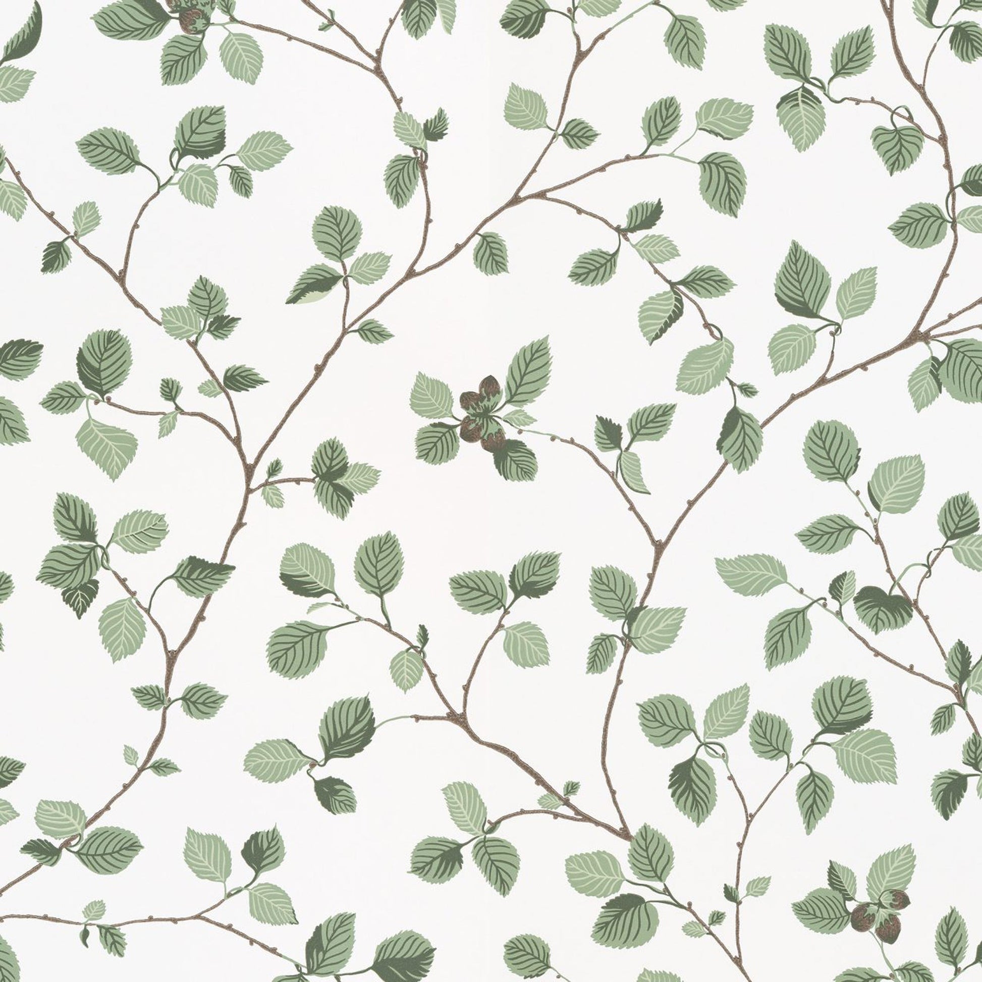 709-38 Hassel green, Arboretum by Sandberg Wallpaper