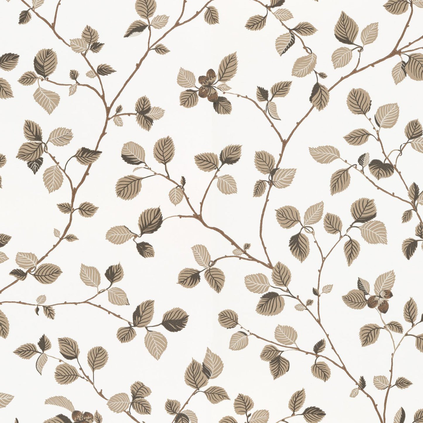 709-59 Hassel brown, Arboretum by Sandberg Wallpaper