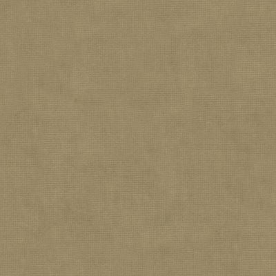 Acquire 8013150-106 Charmant Velvet Cobblestone Solid by Brunschwig & Fils Fabric