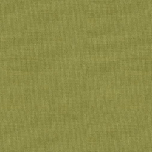 Purchase 8013150-303 Charmant Velvet Fern Solid by Brunschwig & Fils Fabric