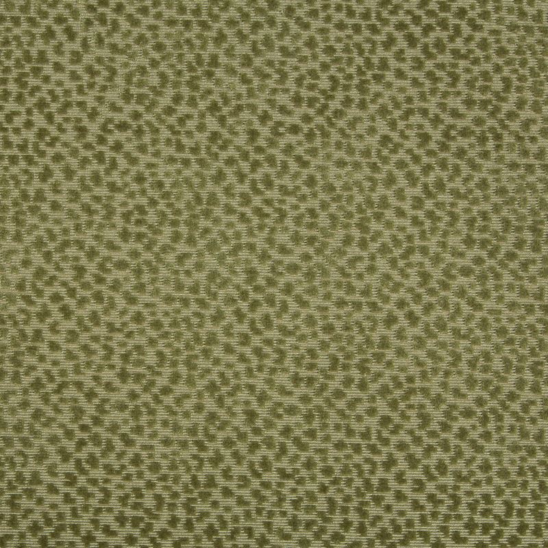 Buy 8017126-3 La Panthere Velvet Moss Animal Skins by Brunschwig & Fils Fabric