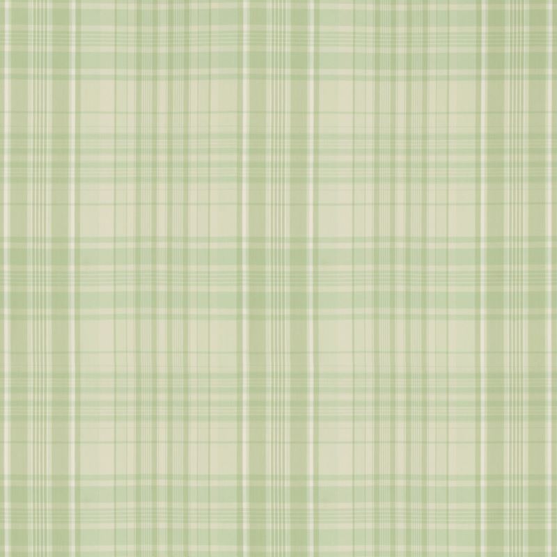 Select 8019101-23 Guernsey Check Celery Check/Plaid by Brunschwig & Fils Fabric