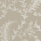 Acquire 88/1001 Cs Ludlow Taupe By Cole and Son Wallpaper