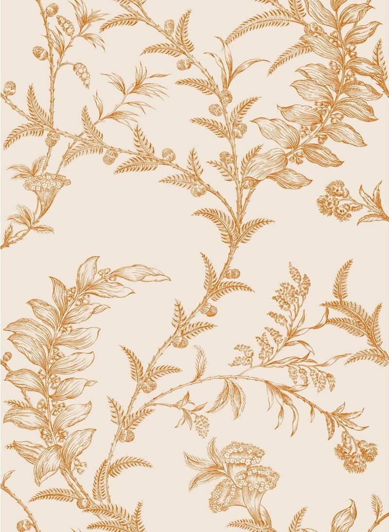 Buy 88/1003 Cs Ludlow Peach By Cole and Son Wallpaper