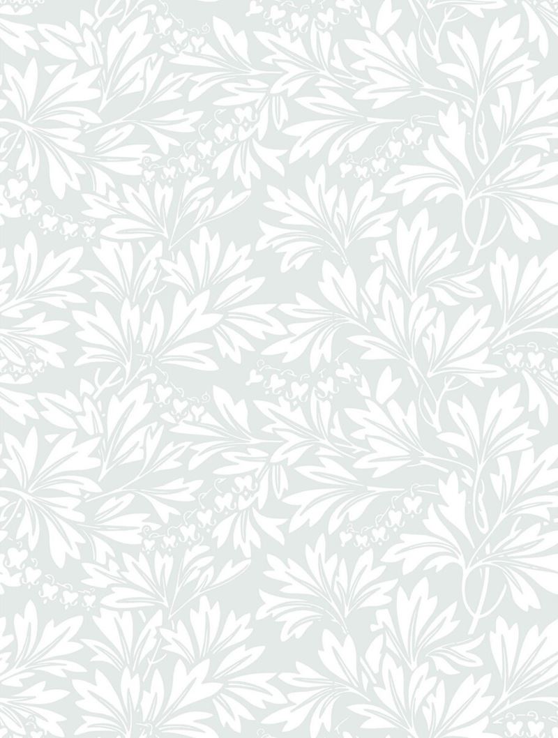 Looking for 88/11044 Cs Dialytra Dove By Cole and Son Wallpaper