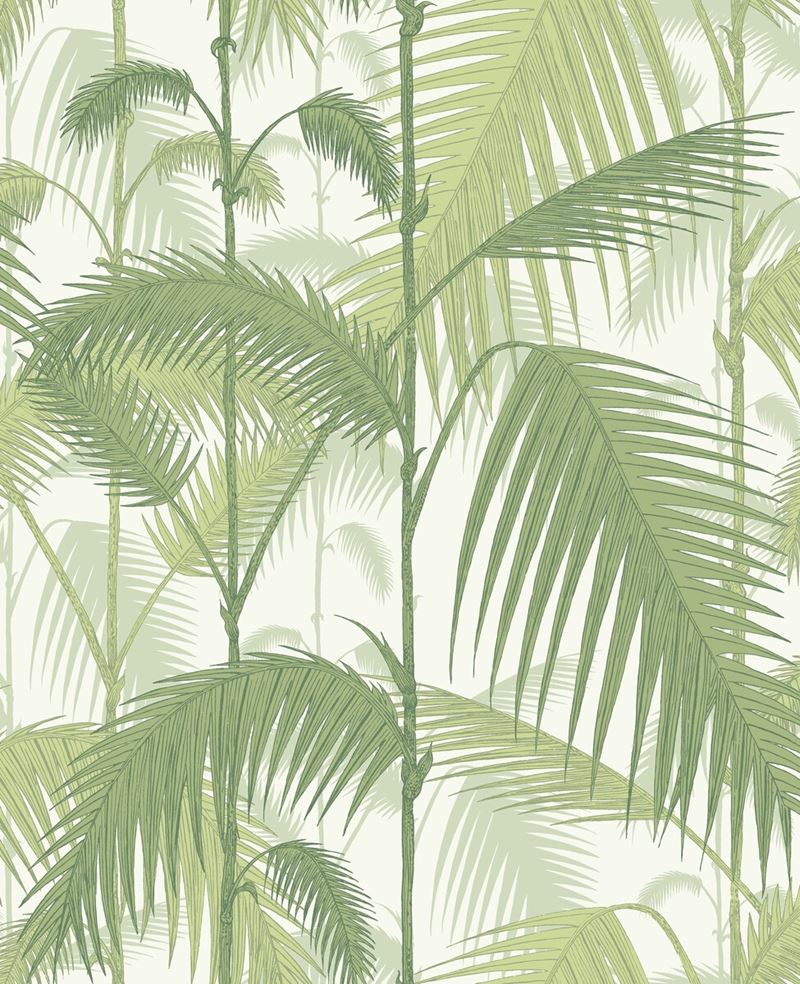 Select 95/1001 Cs Palm Jungle Olive Gre White By Cole and Son Wallpaper