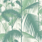 Purchase 95/1002 Cs Palm Jungle Forest Gre W By Cole and Son Wallpaper