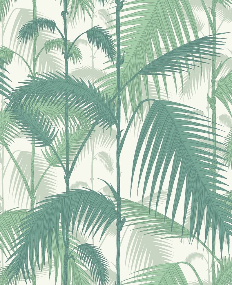 Purchase 95/1002 Cs Palm Jungle Forest Gre W By Cole and Son Wallpaper