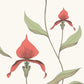 Acquire 95/10054 Cs Orchid Red White By Cole and Son Wallpaper