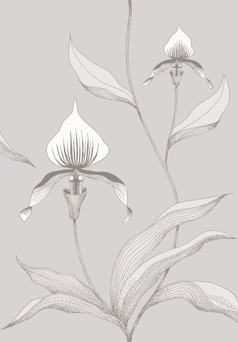 Shop 95/10055 Cs Orchid Grey White By Cole and Son Wallpaper