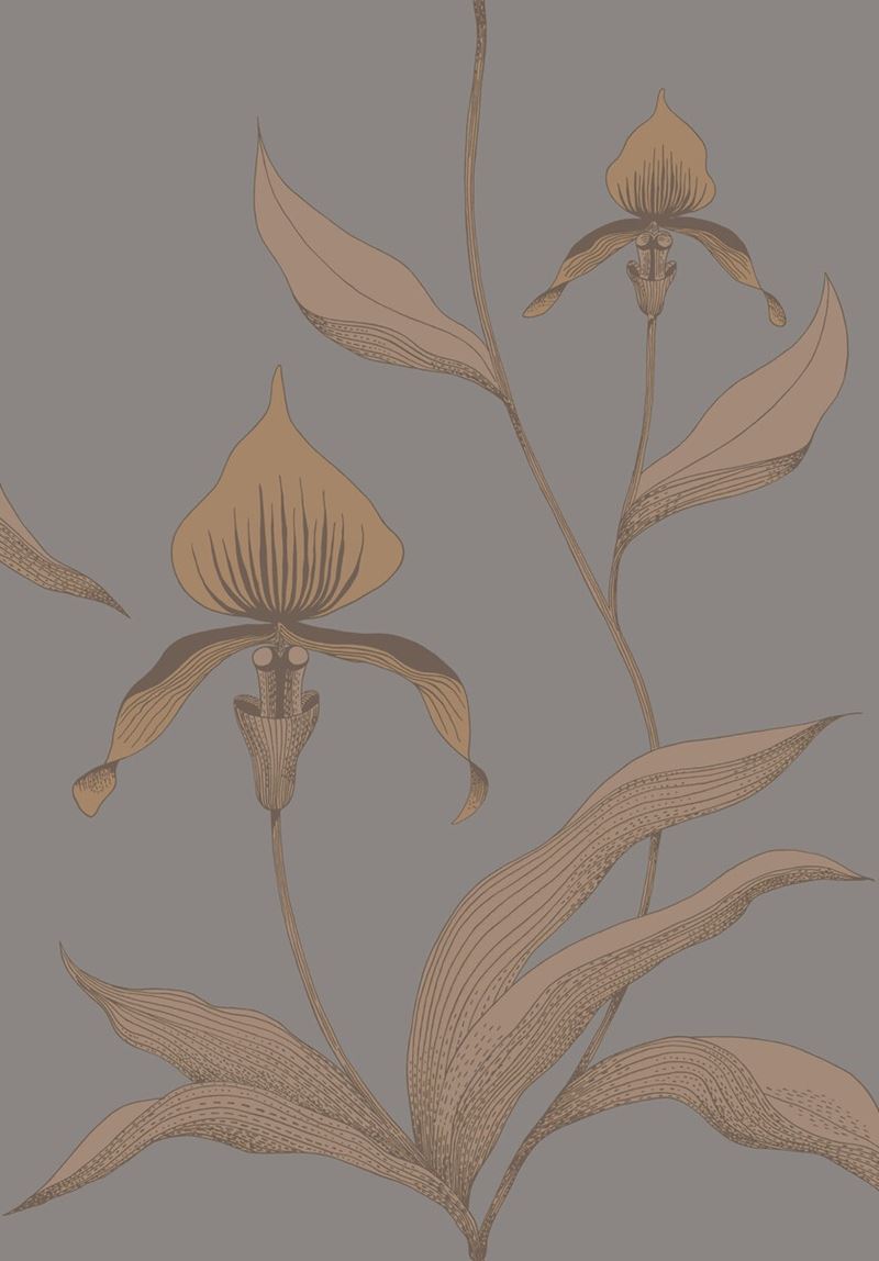 Buy 95/10056 Cs Orchid Bronze Slate By Cole and Son Wallpaper