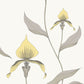 Purchase 95/10057 Cs Orchid Yellow White By Cole and Son Wallpaper