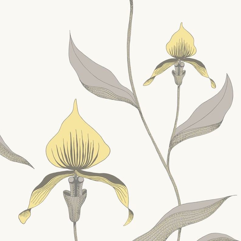 Purchase 95/10057 Cs Orchid Yellow White By Cole and Son Wallpaper