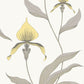 View 95/10057 Cs Orchid Yellow White By Cole and Son Wallpaper