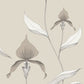 Shop 95/10058 Cs Orchid Linen White By Cole and Son Wallpaper
