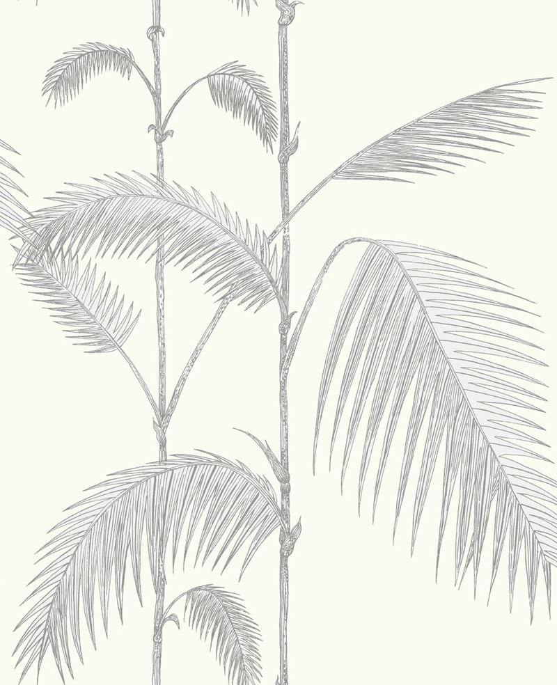 Search 95/1008 Cs Palm Leaves Grey White By Cole and Son Wallpaper