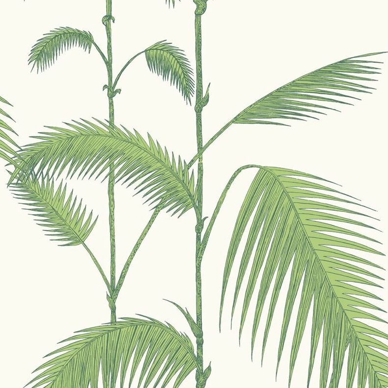 Shop 95/1009 Cs Palm Leaves Green White By Cole and Son Wallpaper