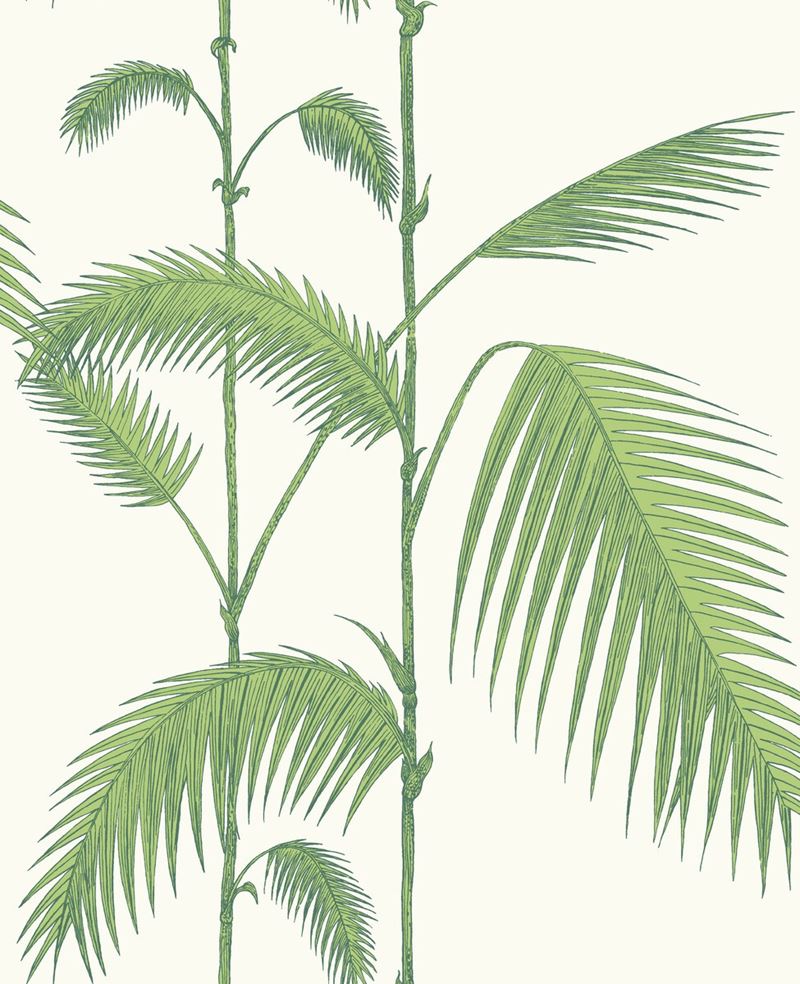 Select 95/1009 Cs Palm Leaves Green White By Cole and Son Wallpaper