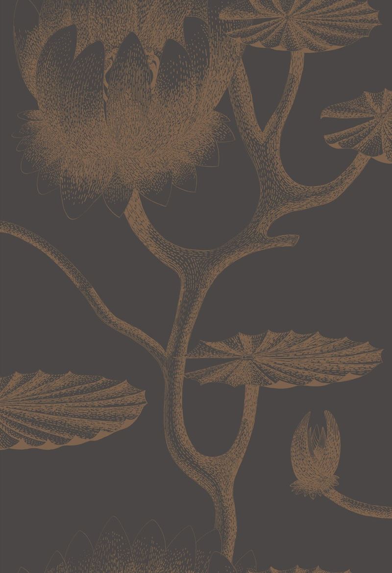 Buy 95/4021 Cs Lily Black Bronze By Cole and Son Wallpaper