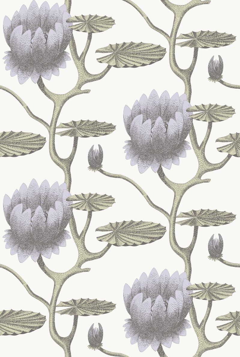 Looking for 95/4023 Cs Summer Lily Lilac Grn Wt By Cole and Son Wallpaper