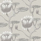 Acquire 95/4025 Cs Summer Lily Taupe White By Cole and Son Wallpaper