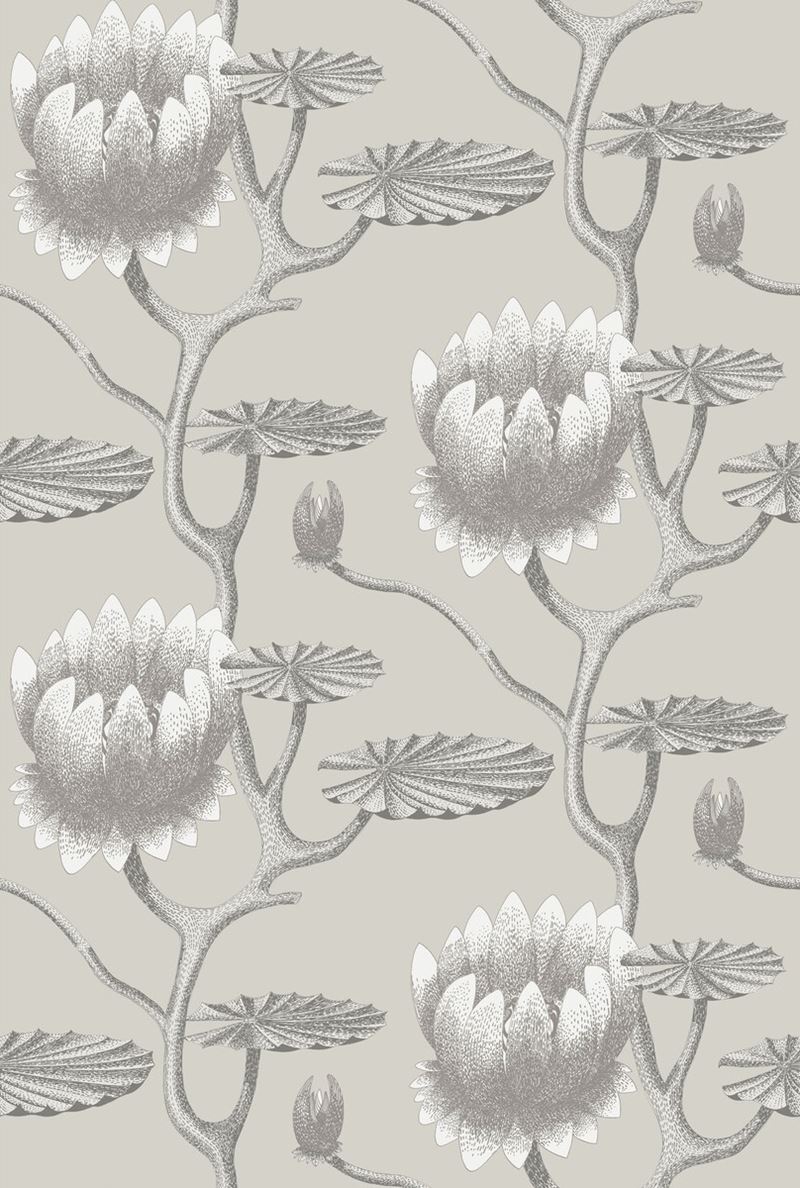 Search 95/4025 Cs Summer Lily Taupe White By Cole and Son Wallpaper
