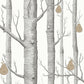 Buy 95/5027 Cs Woods And Pears Blk Wht Brnz By Cole and Son Wallpaper
