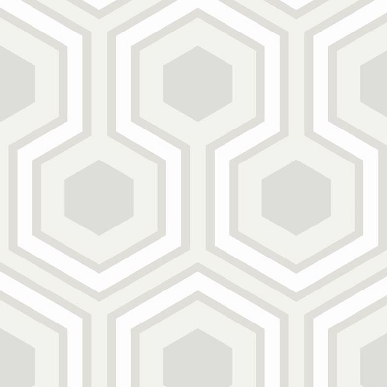 Purchase 95/6036 Cs Hicks Grand Dove Grey By Cole and Son Wallpaper