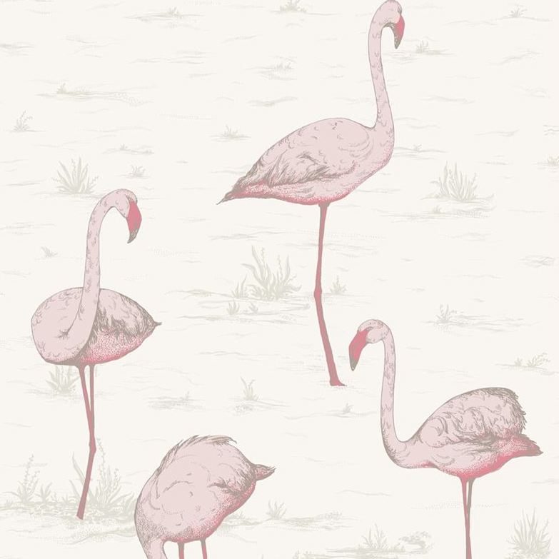 Purchase 95/8045 Cs Flamingos Pink White By Cole and Son Wallpaper