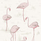 View 95/8045 Cs Flamingos Pink White By Cole and Son Wallpaper